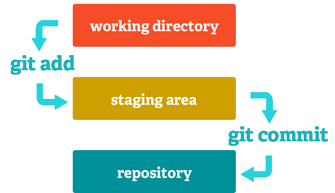 Stages-1