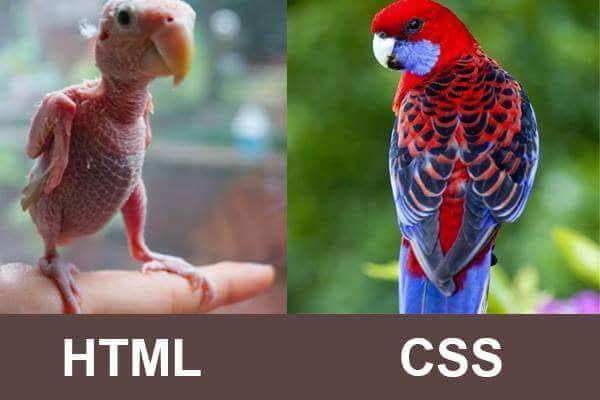 CSS Syntax